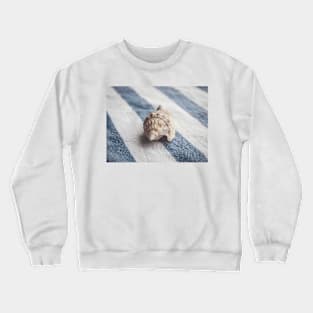 Shell 1 Crewneck Sweatshirt